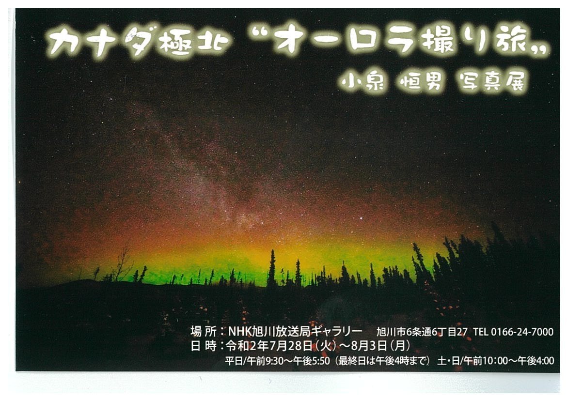 カナダ極北 オーロラ撮り旅 旭川市6条通 イベント ライナーウェブ