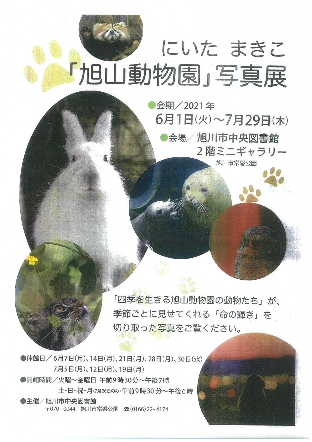 にいた まきこ 旭川動物園 写真展 旭川市常磐公園 イベント ライナーウェブ