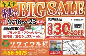 BIG SALE