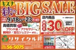 BIG SALE