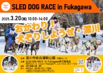 おかわり!SLED DOG RACE in Fukagawa