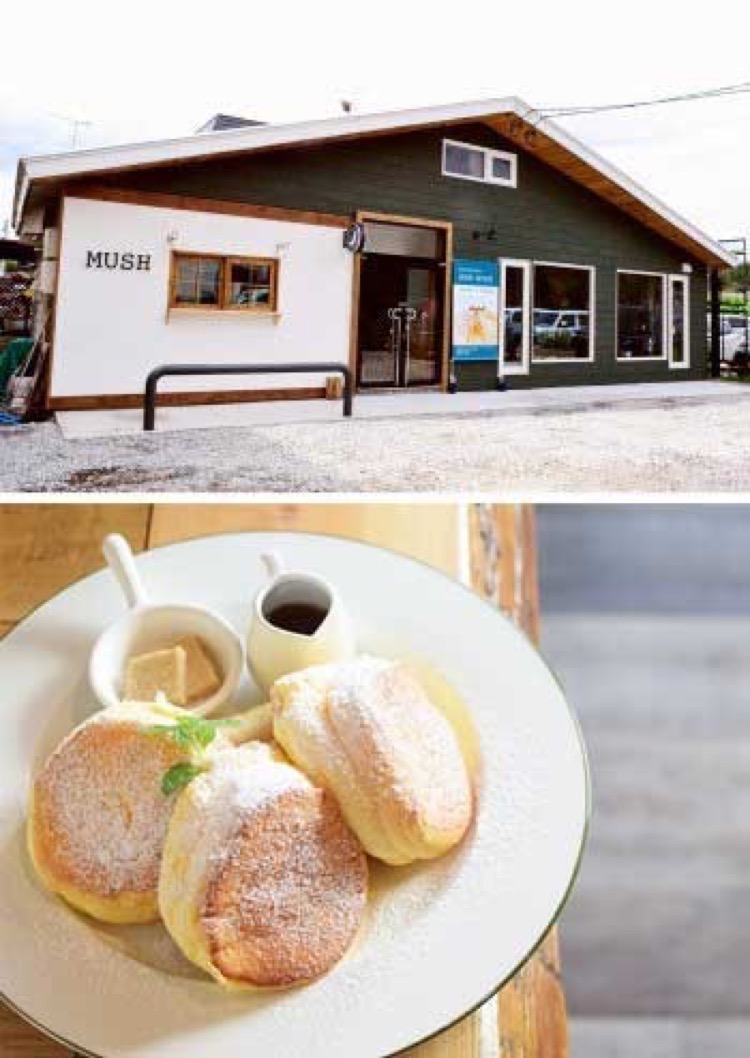 Mush Cafe マッシュカフェ 旭川市緑町 カフェ 喫茶 ライナーウェブ
