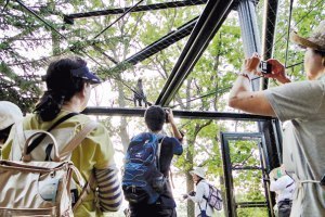 旭川市旭山動物園