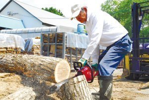 特定非営利活動法人　東川バイオマス・自然エネルギー研究所
