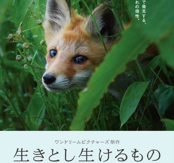 旭川在住の写真家初監督 生きとし生けるもの 先行上映 Npo法人かわうそ倶楽部 旭川 道北のニュース ライナーウェブ