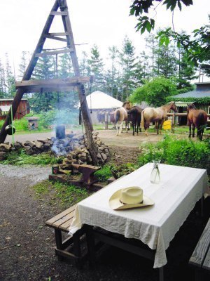 北海道NPOサポートセンター