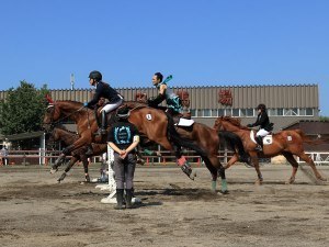 公益財団法人旭川市公園緑地協会