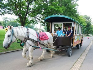 ばんえい競馬／レラ・スポット北彩都