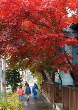 おかだ紅雪庭