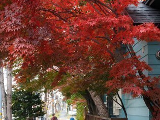 おかだ紅雪庭