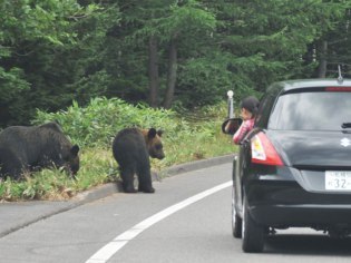 ＮＰＯ法人旭山動物園くらぶ