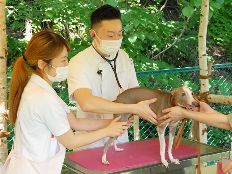 3密防止やストレス軽減に 犬の屋外診察をスタート 緑の森どうぶつ病院 旭川 道北のニュース ライナーウェブ