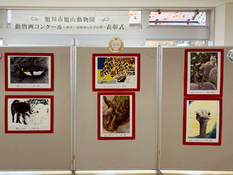 旭山動物園で絵画コンクール 中高大生の作品を募集 旭川 道北のニュース ライナーウェブ