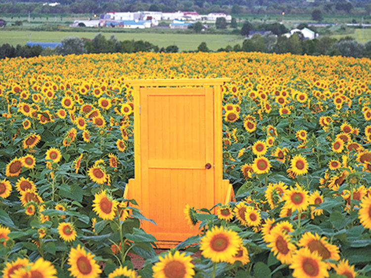 旭川と近郊】夏に見頃なお花の絶景スポット - / 旭川・道北のニュース [ライナーウェブ]