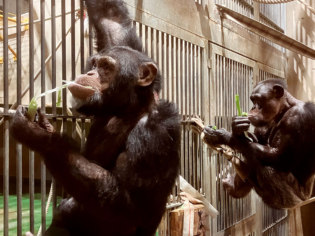 旭川市旭山動物園